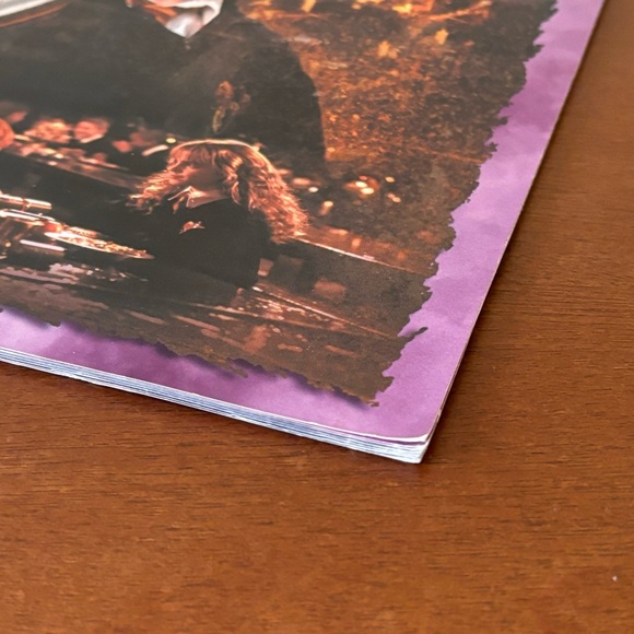 3/$20 📚 Harry Potter and the Chamber of Secrets Poster Book 2002 Scholastic - Picture 4 of 9